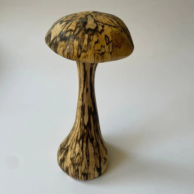 Hongo Madera Nativo M 16 Cm Milenaria Alerce