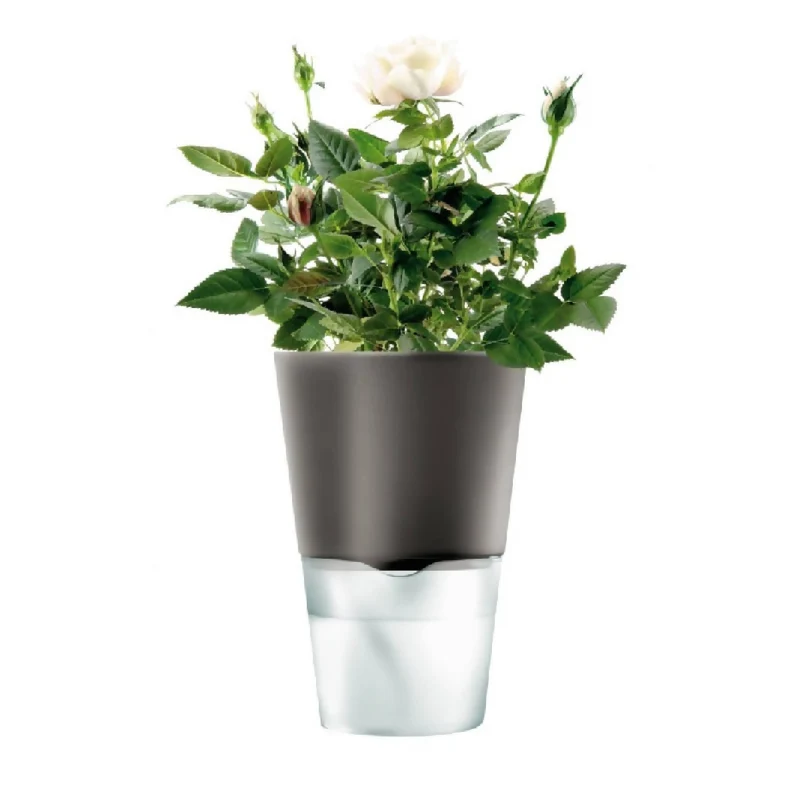 Macetero Auto Riego Para Hierbas 11 cm